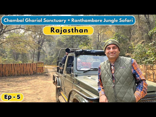 EP-5 Sawai Madhopur- Ranthambore, Rajasthan | Chambal Gharial Sanctuary | Tikkar roti Rajasthan