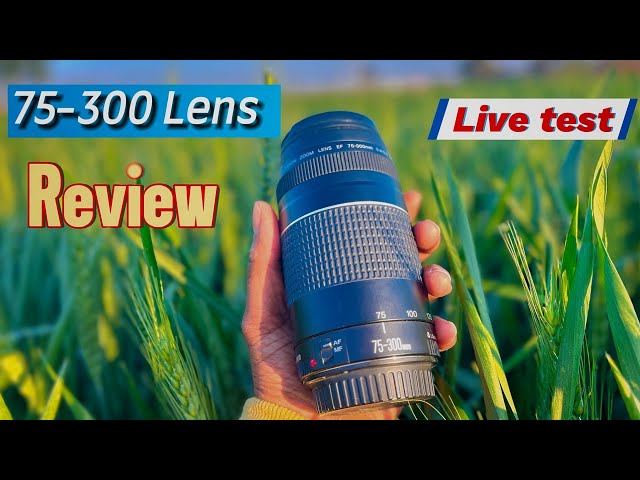 75-300mm lens review video|| Basic knowledge Canon 75-300mm lens| Lens review 75-300mm #lens