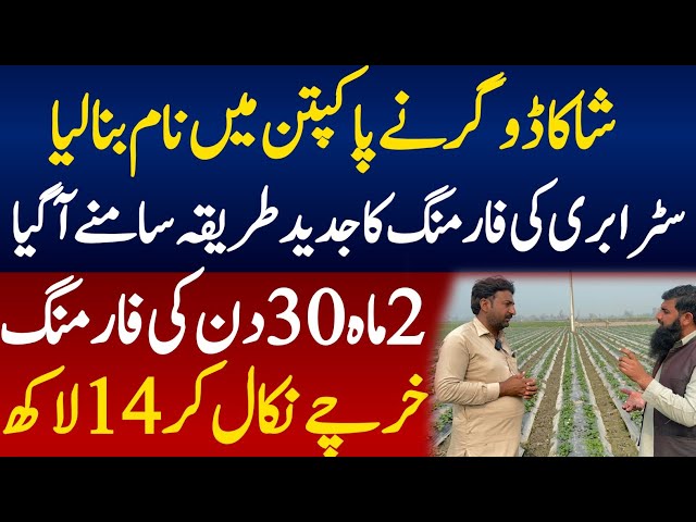 farming Business idea in Pakistan 2025