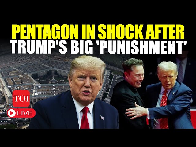 Trump's SHOCKING Action Against Pentagon; 'Team Musk Has Free Rein To...' | Watch