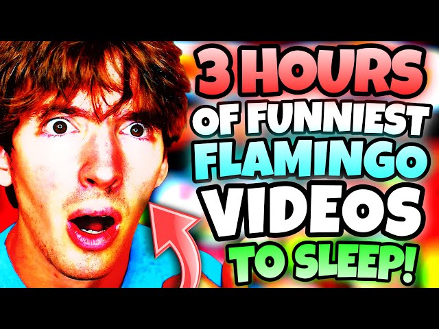 *3 HOURS* OF FLAMINGO VIDEOS! (ROBLOX/MARATHON)