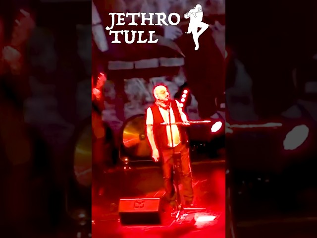 JETHRO TULL - Aqualung #jethrotull #live #aqualung #flute #rock #progressive #shorts