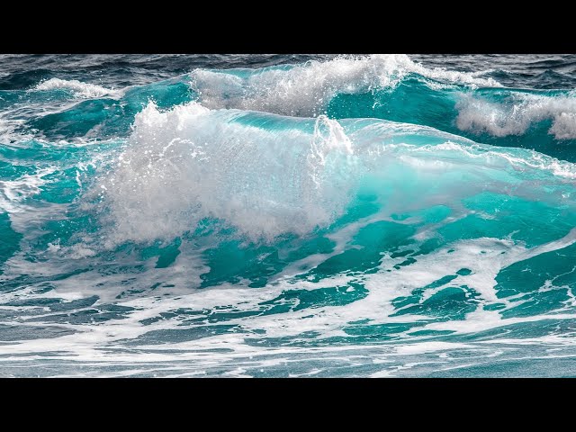 🌎Beautiful Relaxing Music - Ocean Waves & Seagulls - Sleep Music, Stress Relief, Healing, Insomnia