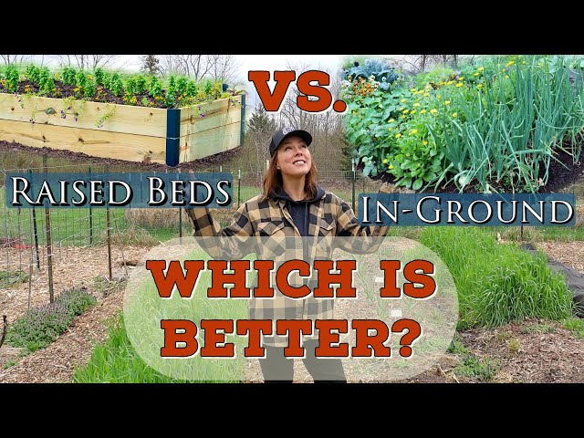 Raised Beds Versus In Ground Gardening-- Which is better?