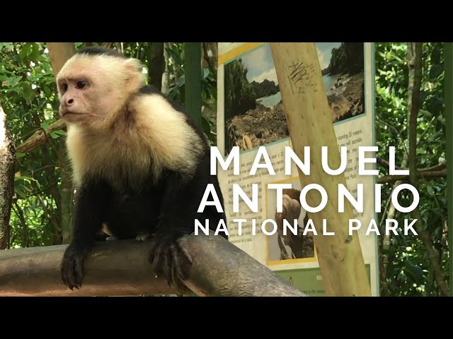 Costa Rica's Manuel Antonio National Park (4K)