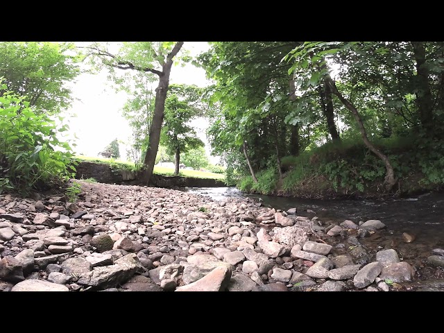 360° The river sheaf in summer, millhouses, Sheffield