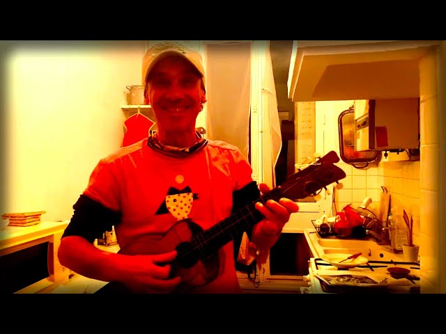 Manu Chao - Pas assez de toi (Official Live Video)