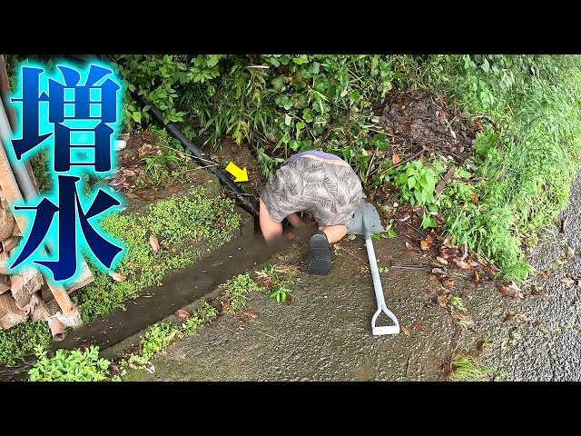 大雨で排水溝に詰まった土砂を掻き出したら…