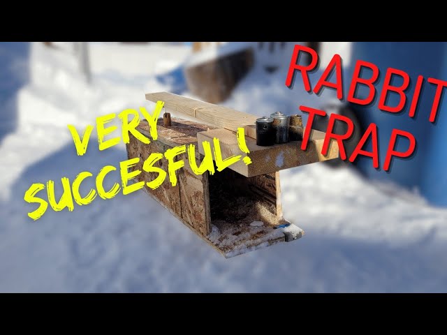 DIY Rabbit Trap, 100% success rate! / I made some Mods!