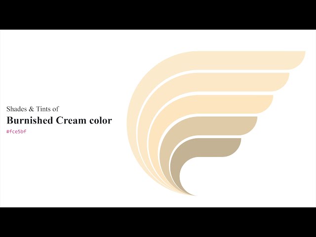 Shades & Tints of Burnished Cream color #fce5bf A Warm Yellow color #e0cba9 #c4b294 #fce7c6 #fceacd