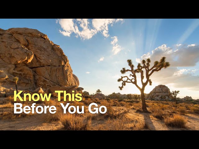 Joshua Tree Hiking Tips