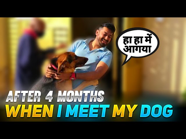 I meet my dog after 4 months