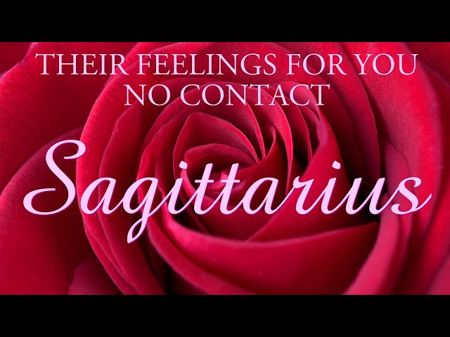 SAGITTARIUS love tarot ♐️ They’re Filled With Regret And Want You Back