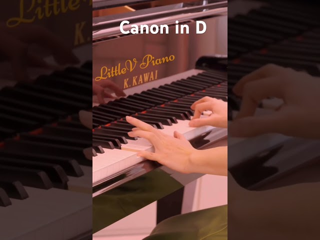 Canon 卡农 - Johann Pachelbel Piano Cover - LittleV Piano #piano #instrumental #music #relaxingmusic