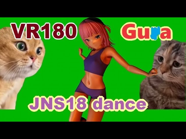 [VR180] Gu*a ,JNS18 dance [DanceXR] #猫ミーム