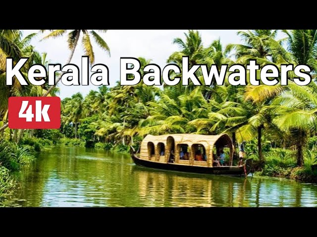 Kerala Backwaters from #kerala #india #4k #walkthrough