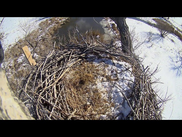 Fort St. Vrain Eagles, Top Camera View