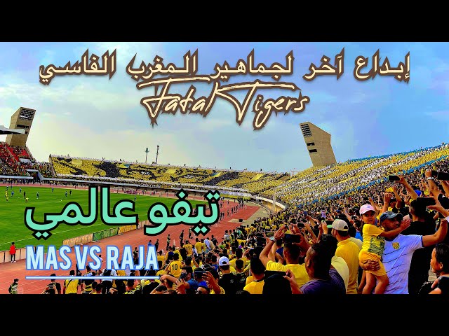 Mas Vs Raja Fès 2022 Tifo Fatal Tigres أحسن تيفو بمدينة فاس | رجال المدينة | جمهور المغرب الفاسي