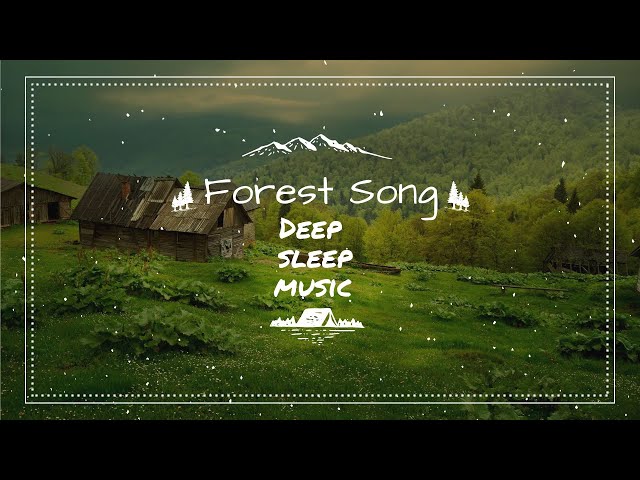 Beautiful light music for deep sleep with a video about a beautiful forest.