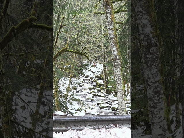 Snowy waterfall on Carbon River Road - Carbonado, Washington