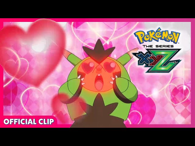 Quilladin Loves Eevee? | Pokémon the Series: XYZ | Official Clip