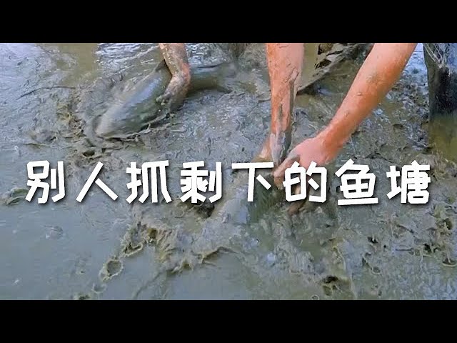 【戶外捕魚VLOG】花1200包下一口別人抓剩下的魚塘，沒想到裏面還有這麼多...