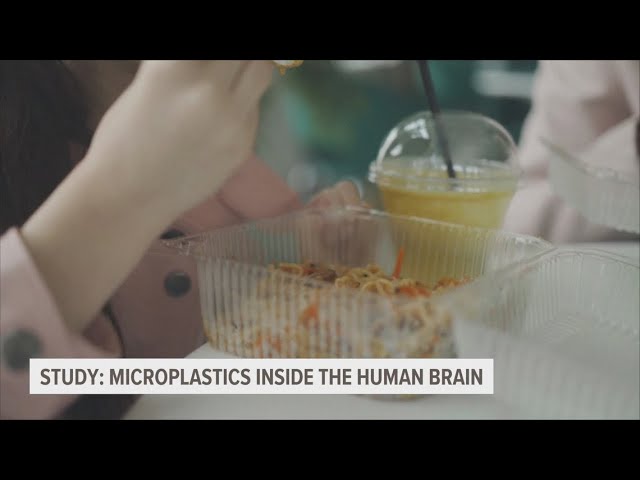 Number of microplastics found in human brain may be increasing, study shows