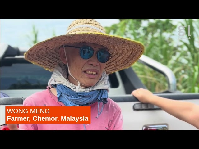 Malaysian food growing farmers resisting evictions