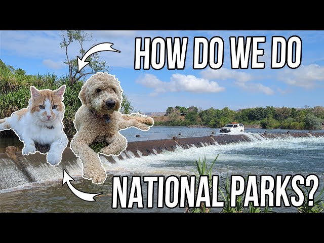 National Parks & Pets - How You Can Still Explore & See! | Lap of Australia Travels With Dog & Cat