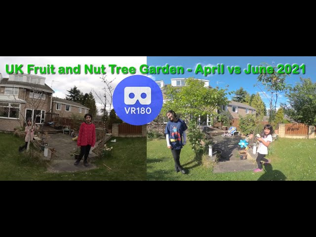 How Does Our Garden Grow - Fruit & Nut Trees Early April vs Early June 2021 - UK VR180