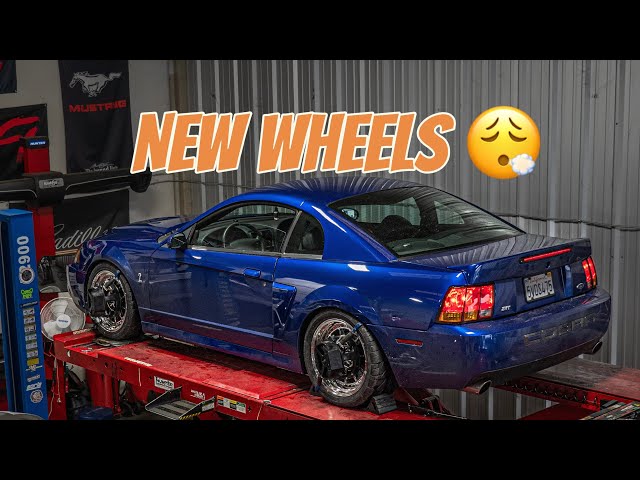 2003 Cobra gets new wheels!