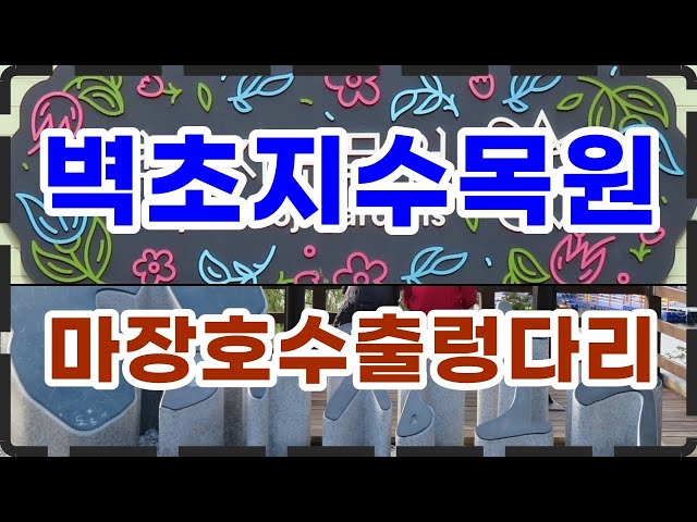 당일 여행 서울근교, 파주 벽초지수목원 가을꽃 국화전시회  마장호수출렁다리 제2주차장