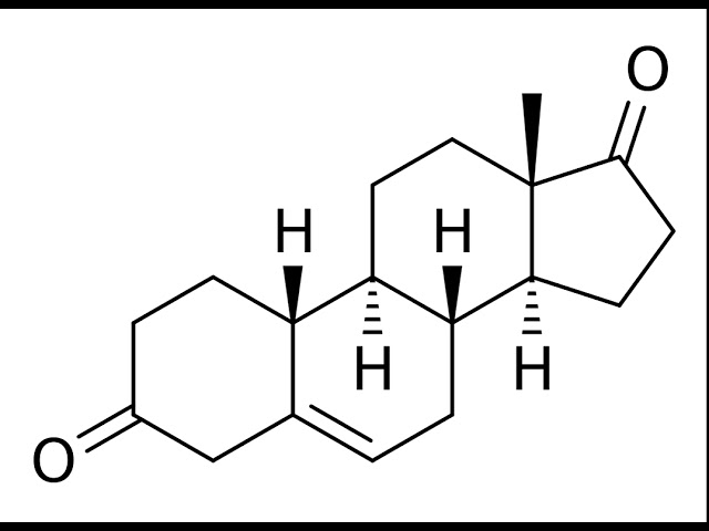 19-Nor-5-androstenedione | Wikipedia audio article