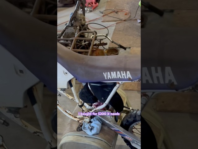 $200 Dollar YZ80?? Junk or Treasure? #dirtbike #yamaha #engine #rebuild #motorcyclerestoration