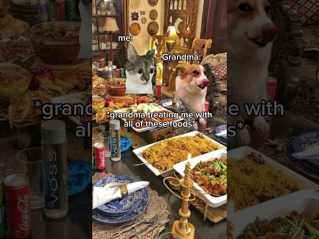 Cat memes Pov: Spending the weekend at grandma's house  #cat #catmemes #relatable