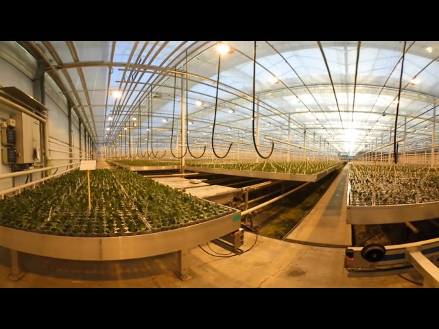 360˚ Video of a young plant/seedling nursery using 2D Shuttle system