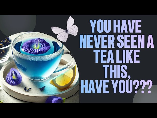 This is why everyone is obsessed with this blue tea! #butterflypeaflowertea