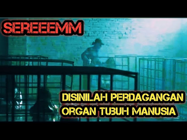 Jangan berkunjung kesini jika tak mau organ tubuhmu dijual|| alur film @PojokHumor