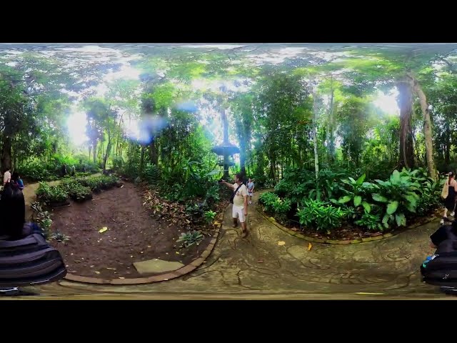 PHILIPPINE EAGLE: Discover the Majesty of the Philippine Eagle in Davao 🦅 360° PART 1