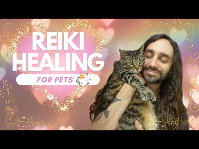 Reiki Healing for Pets | ASMR