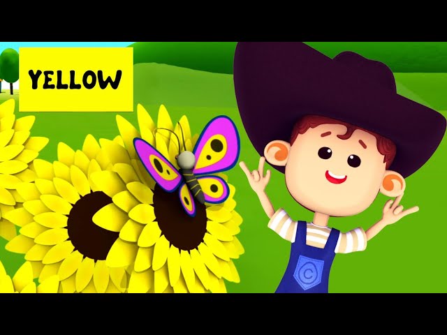 Color Song + More Learning Videos And Baby Songs