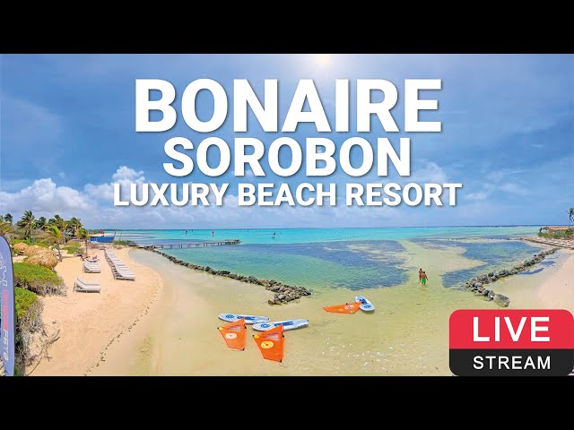 Sorobon Luxury Beach Resort | Dunkerbeck Pro Center | Bonaire 🏄💦🌴 180° LIVE WEBCAM