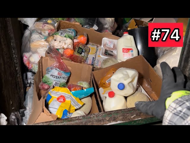 Dumpster Diving Aldi #74 Free Grocery Shopping!