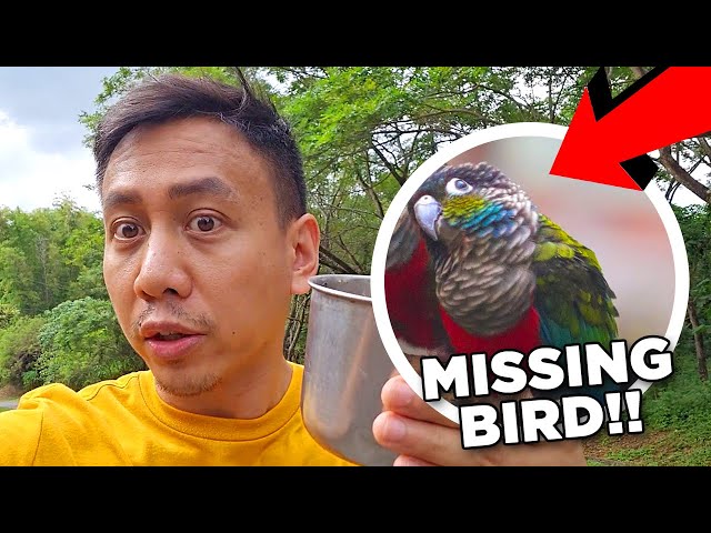 EMERGENCY! Our Parrot Escaped and is Missing! 😱 | Vlog #1783