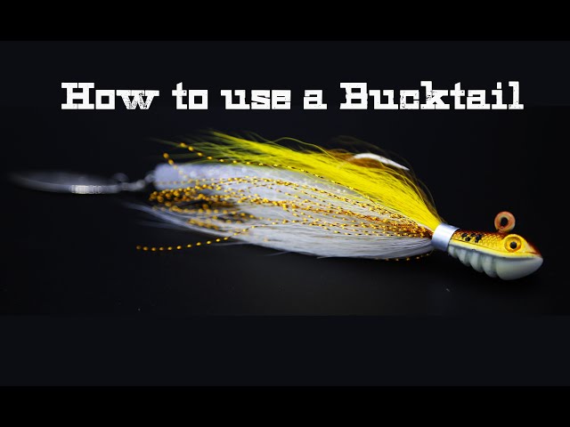 How to use a Bucktail Jig for Striped Bass