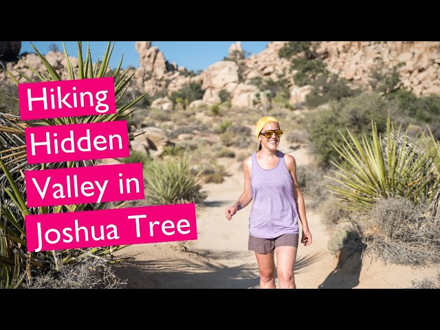 Hiking The Hidden Valley Nature Trail - Best Hikes In Joshua Tree National Park - 360° Video