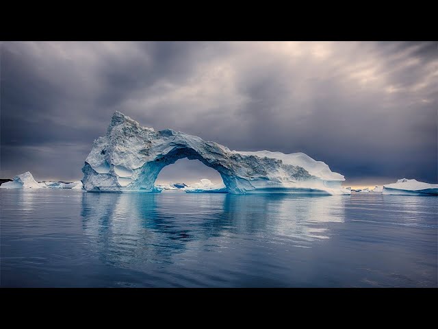 Phytoplankton enhance Arctic Oceans ability to soak up carbon dioxide, study finds