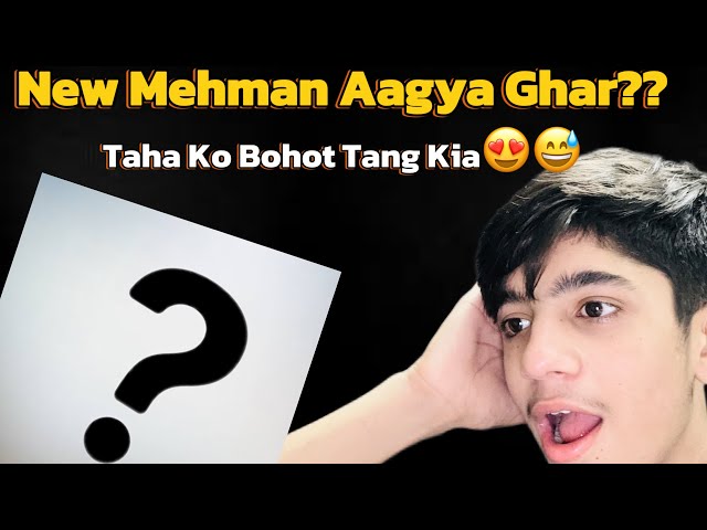 Ghar Mein New Mehman Aagya?😳|| Taha Ko Bohot Tang Kia😂