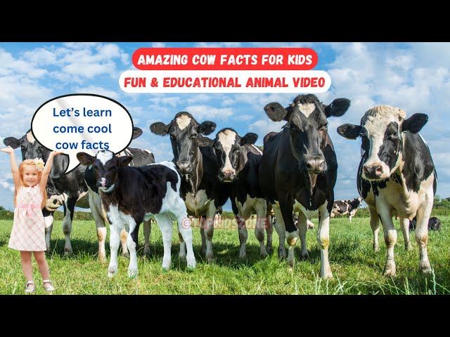 Amazing Cow Facts for Kids | Fun & Educational Animal Video #EducationalVideo #TopKidsZone