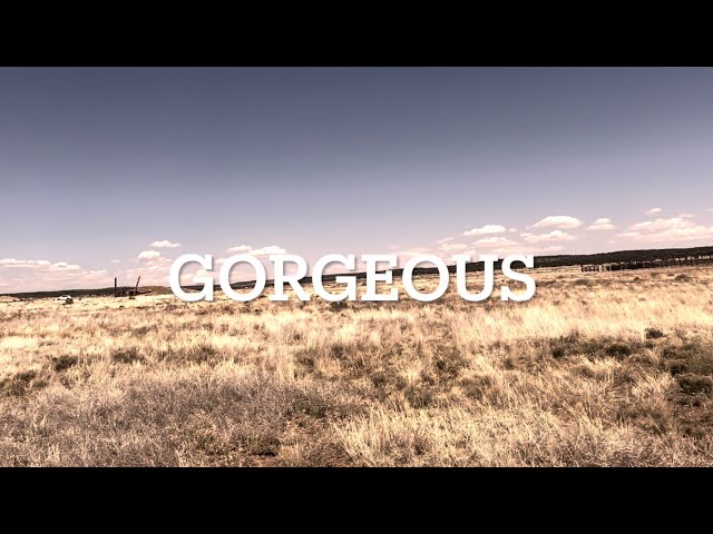 Gorgeous - the dissonant dystopian